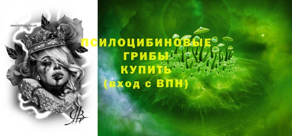 МДМА Заводоуковск