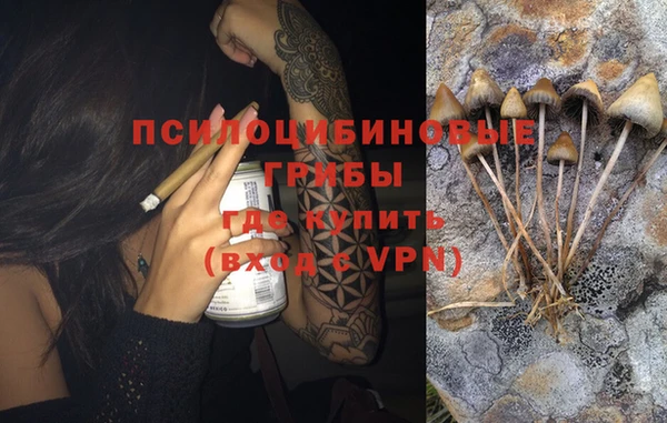 эйфоретик Заволжье
