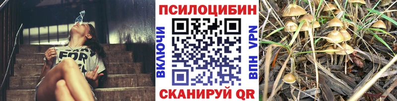 Псилоцибиновые грибы прущие грибы  Купить закладки  Нязепетровск 